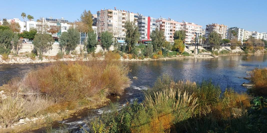 Göksu Nehri'nde su siyaha döndü 1